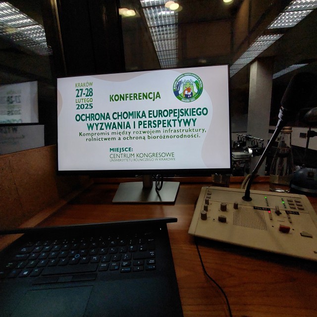 SPIESZMY SIĘ KOCHAĆ (I RATOWAĆ) CHOMIKI, TAK SZYBKO ODCHODZĄ